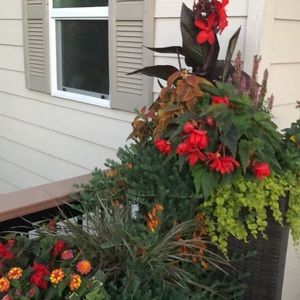 Meet your Posher, Carla